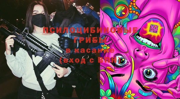 сатива Балабаново