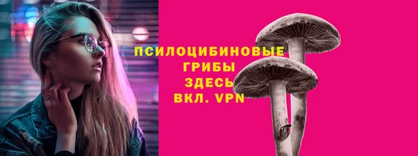 мяу мяу кристалл Няндома