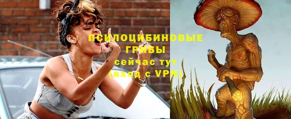 сатива Балабаново