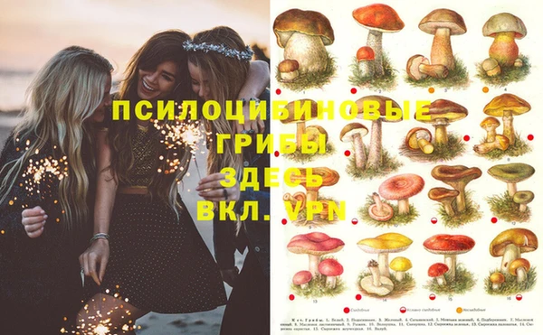 твердый Баксан